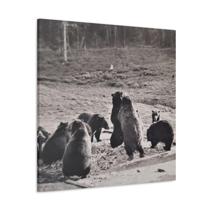 Yellowstone Grizzly Bears Canvas Gallery Wraps