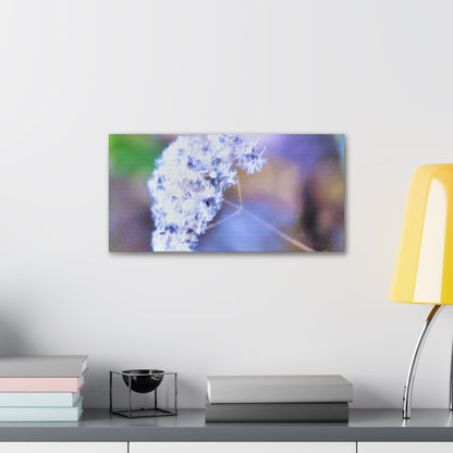 Macro Blue Canvas Gallery Wraps