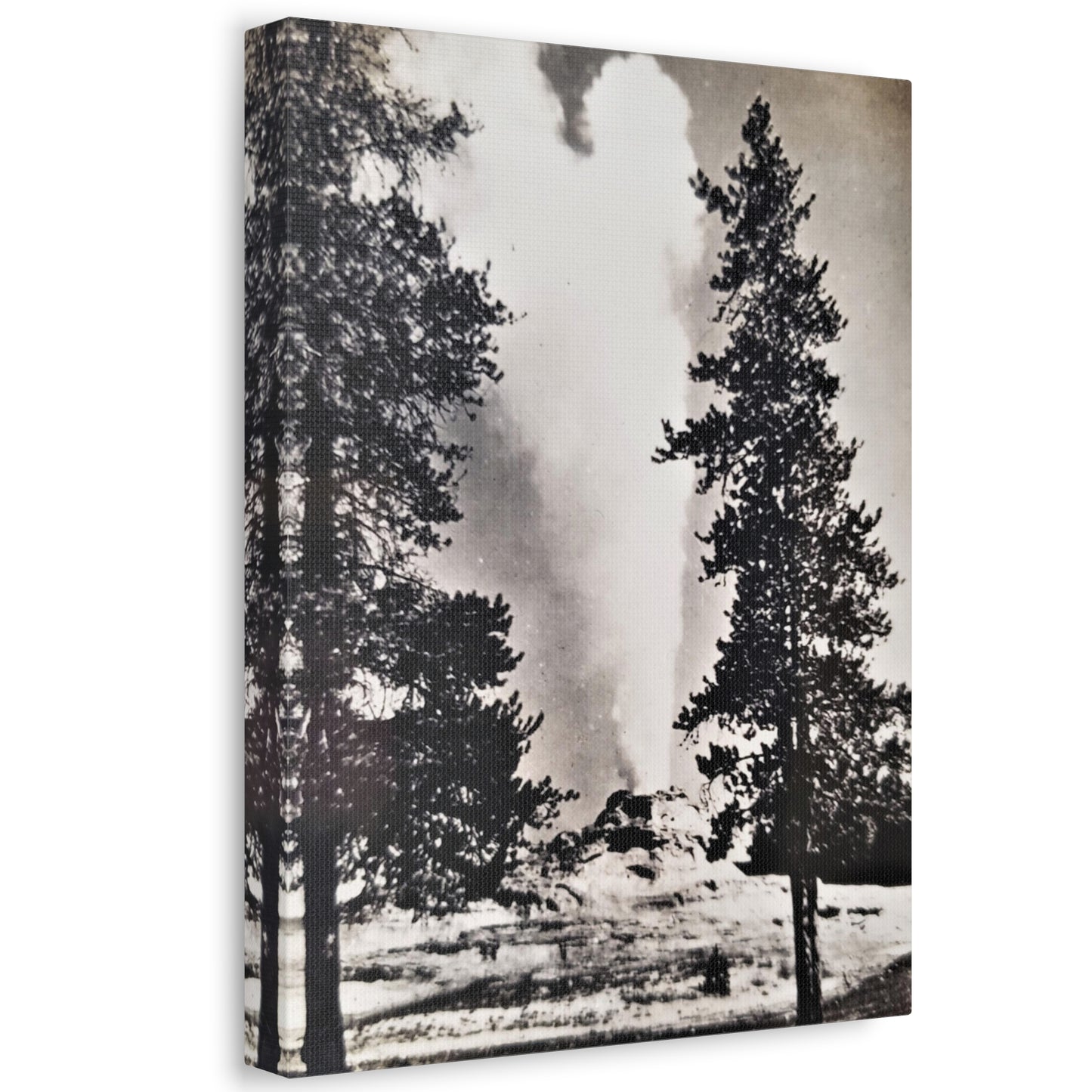 Castle Geyser Yellowstone Stretched Canvas