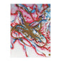 Abstract Love Silk Posters 24" x 32" (Vertical) Semi Glossy