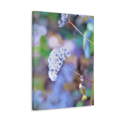 Macro Blue Canvas Gallery Wraps