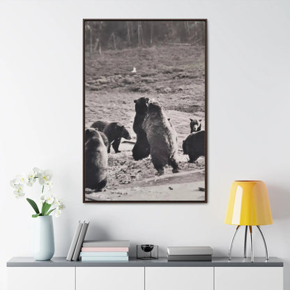 Yellowstone Grizzly Bears Gallery Canvas Wraps 32″ x 48″ Premium Gallery Wraps (1.25″) Walnut