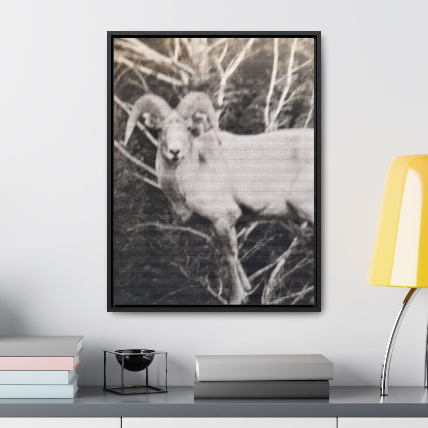 Yellowstone Big Horn Sheep Gallery Canvas Wraps Vertical Frame 18″ x 24″ Premium Gallery Wraps (1.25″) Black