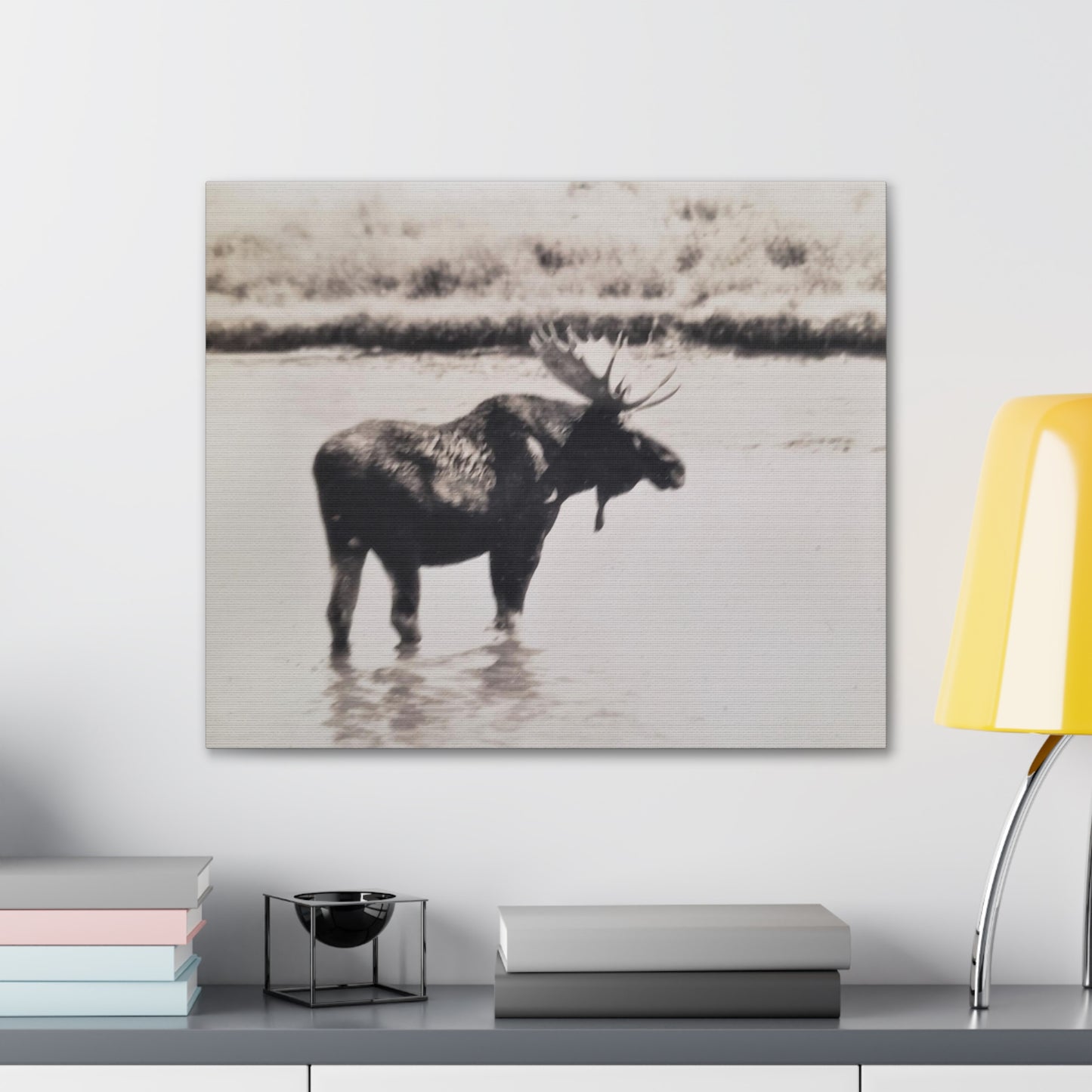 Yellowstone Bull Moose Canvas Gallery Wraps