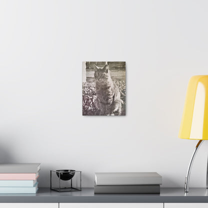 Caledonia Canvas Gallery Wraps 8″ x 10″ 1.25"