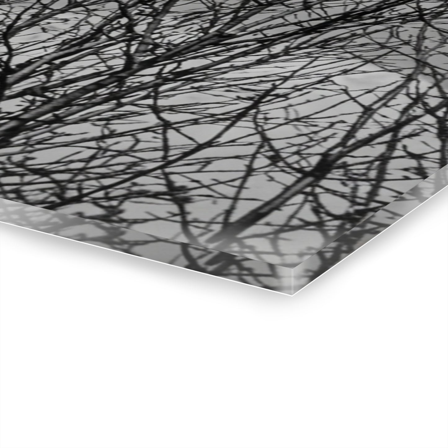 Black & White Buzzards in Winter Trees French Cleat Hanging - - Home Decor