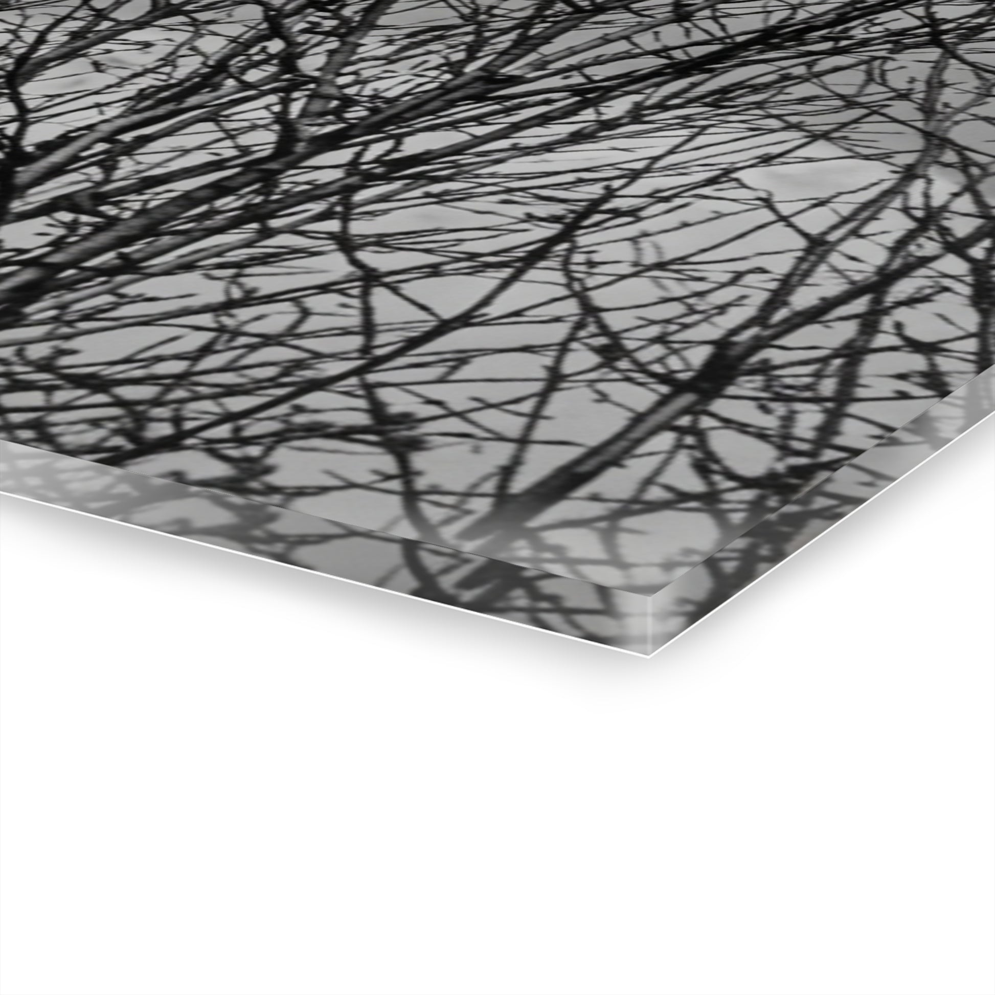 Black & White Buzzards in Winter Trees French Cleat Hanging - - Home Decor