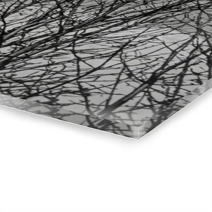 Black & White Buzzards in Winter Trees French Cleat Hanging - - Home Decor