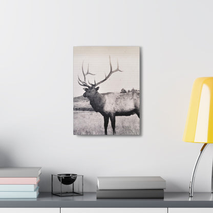 Yellowstone Bull Elk Canvas Gallery Wraps 12″ x 16″ 1.25"