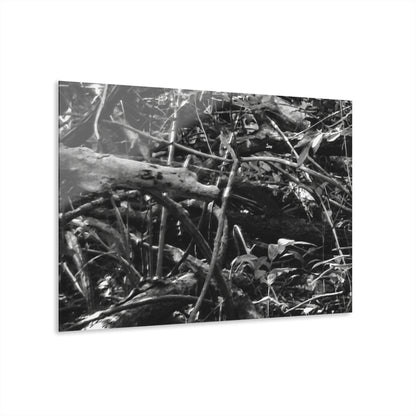 Black & White Deep Timber Path Acrylic Print French Cleat Hanging - 36" x 24" (Horizontal) 0.25'' - Home Decor