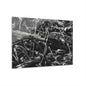 Black & White Deep Timber Path Acrylic Print French Cleat Hanging - 36" x 24" (Horizontal) 0.25'' - Home Decor