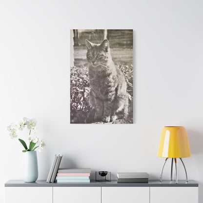 Caledonia Satin Canvas Stretched