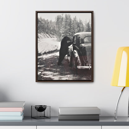 Yellowstone Bear Car Gallery Canvas Wraps Vertical Frame 16″ x 20″ Premium Gallery Wraps (1.25″) Walnut