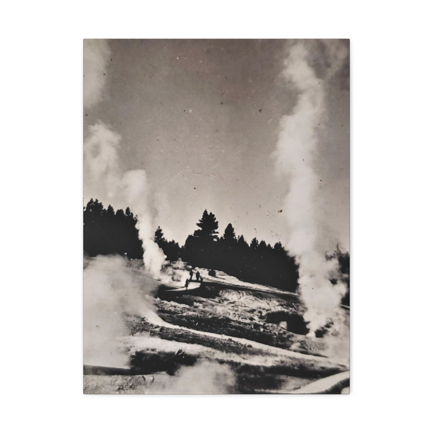 Norris Geyser Yellowstone Stretched Canvas