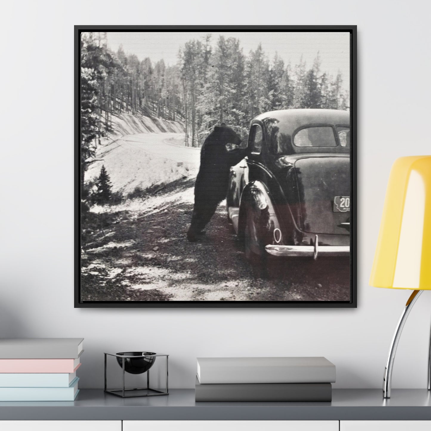 Yellowstone Bear Car Gallery Canvas Wraps, Square Frame