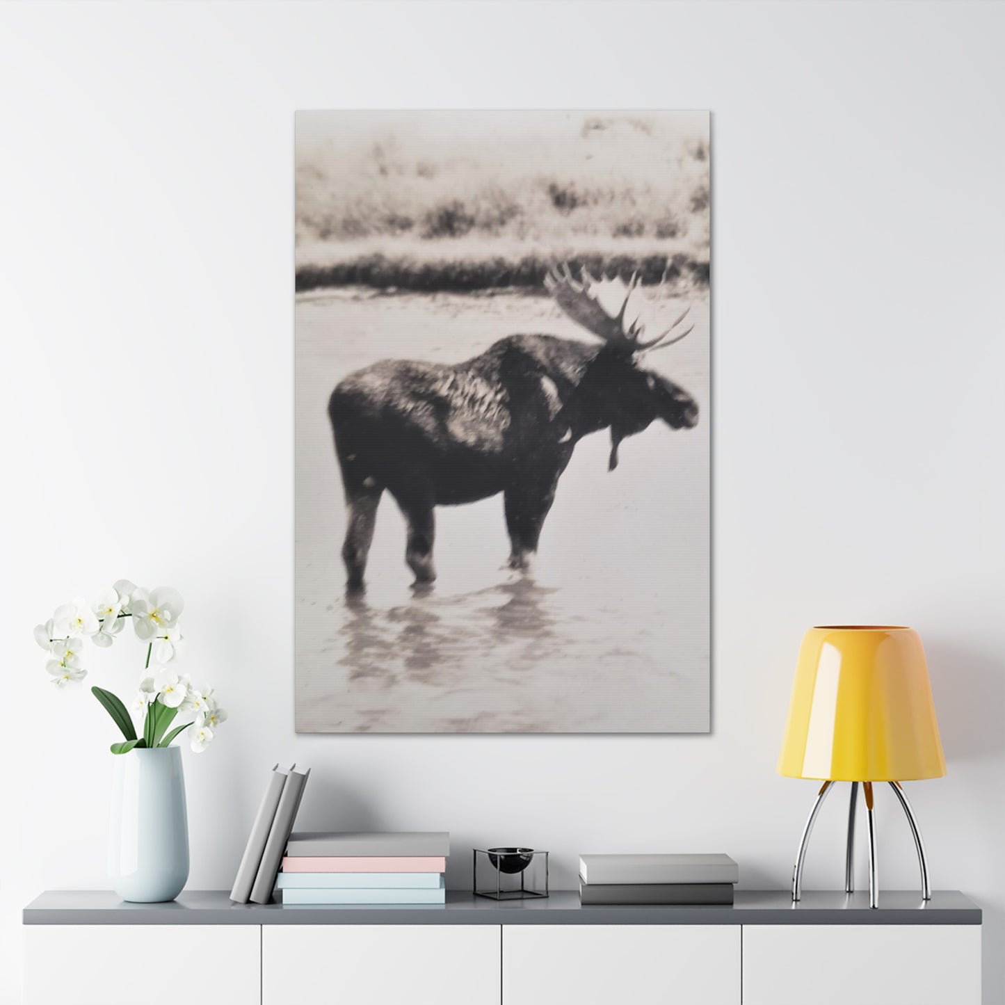 Yellowstone Bull Moose Canvas Gallery Wraps