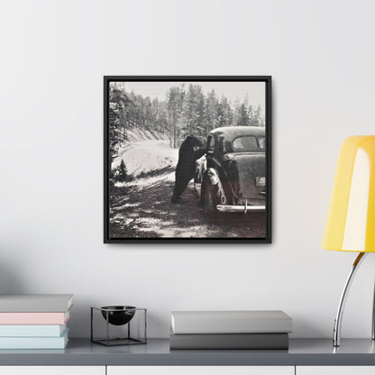 Yellowstone Bear Car Gallery Canvas Wraps Square Frame 16″ x 16″ Premium Gallery Wraps (1.25″) Black