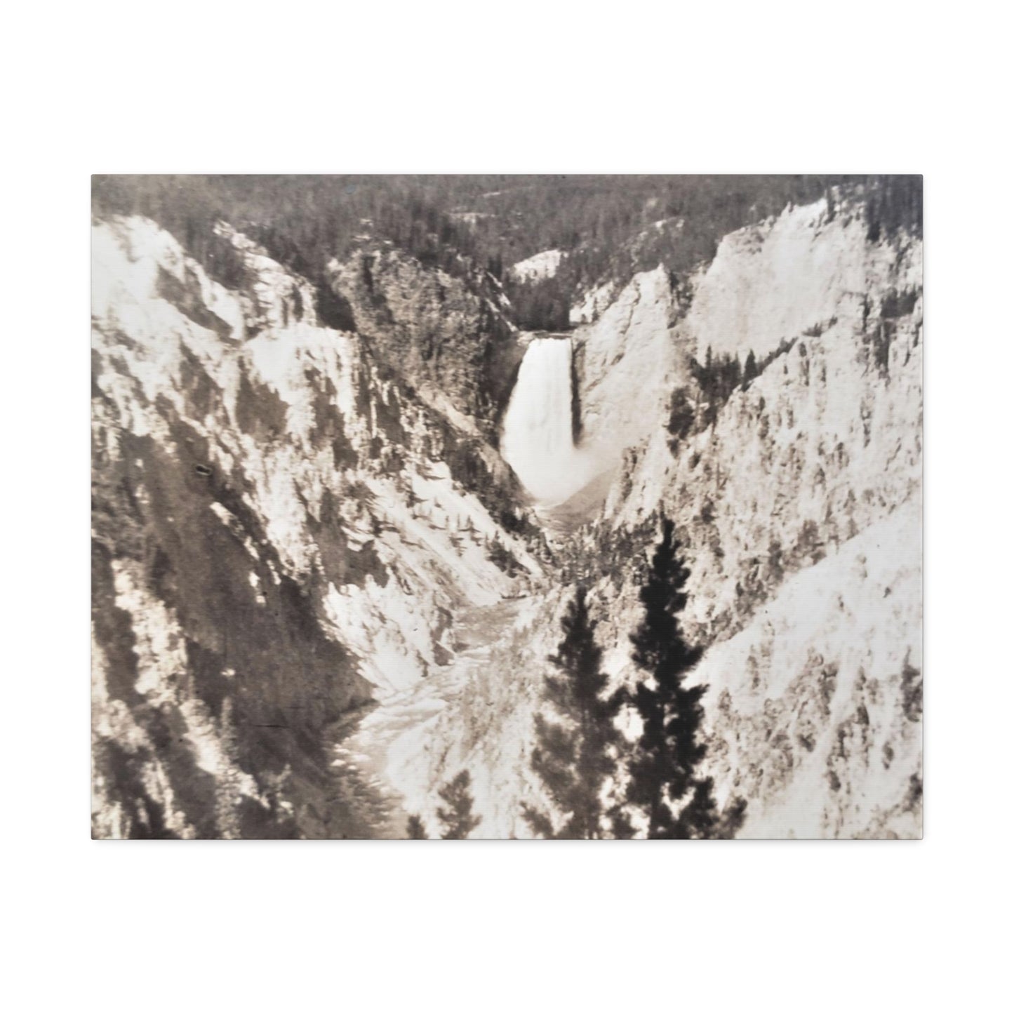 Artists Point Yellowstone Stretched Canvas