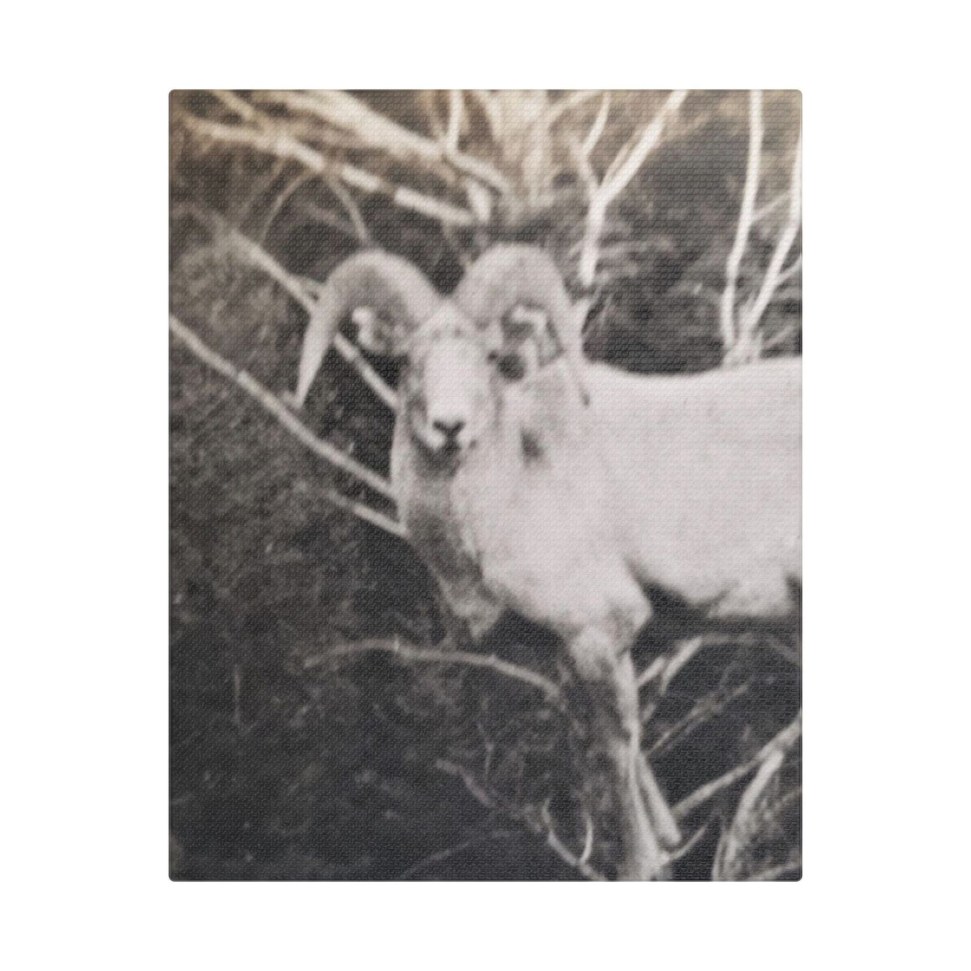Yellowstone Big Horn Sheep Satin Canvas Stretched