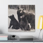 Yellowstone Black Bears Canvas Gallery Wraps 24″ x 24″ 1.25"