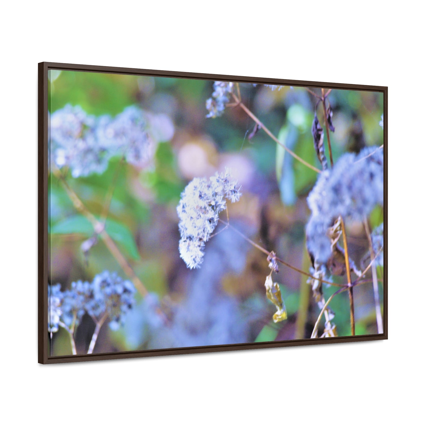 Macro Blue Gallery Canvas Wraps, Horizontal Frame