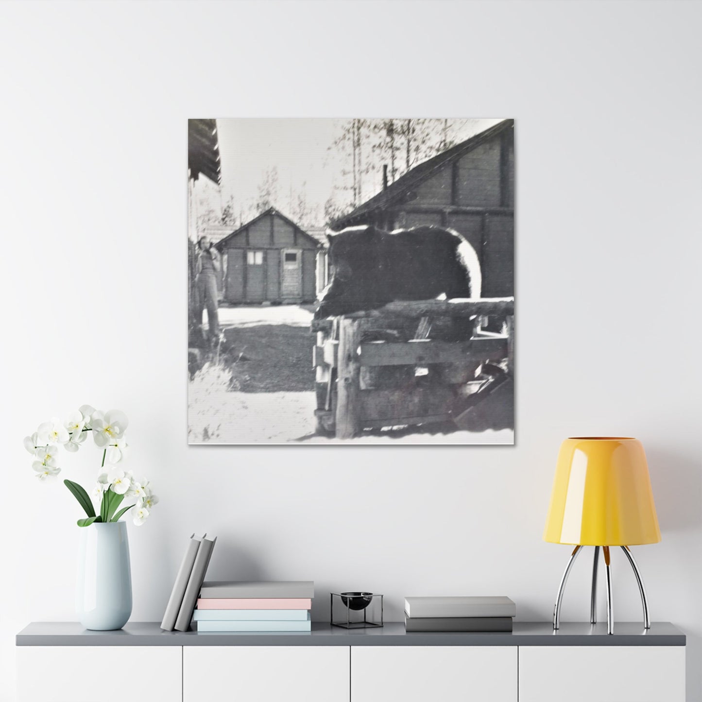 Yellowstone Bear Canvas Gallery Wraps 36″ x 36″ 1.25"