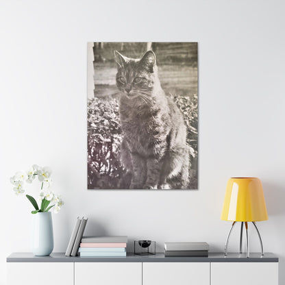 Caledonia Canvas Gallery Wraps 30″ x 40″ 1.25"