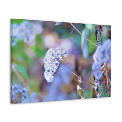 Macro Blue Canvas Gallery Wraps