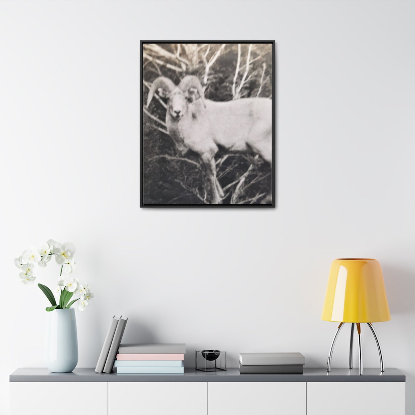 Yellowstone Big Horn Sheep Gallery Canvas Wraps Vertical Frame 24″ x 30″ Premium Gallery Wraps (1.25″) Black