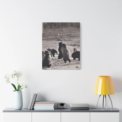 Yellowstone Grizzly Bears Satin Canvas, Stretched