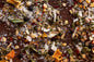 Biscayne Citrus Rub - - Spice Blends