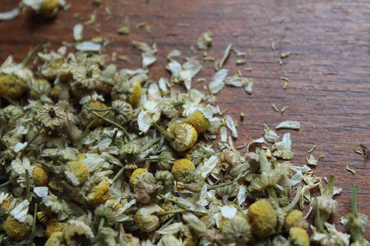 Chamomile - Whole - Teas