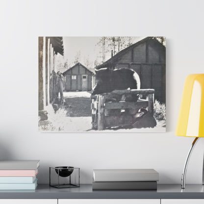 Yellowstone Bear Satin Canvas Stretched