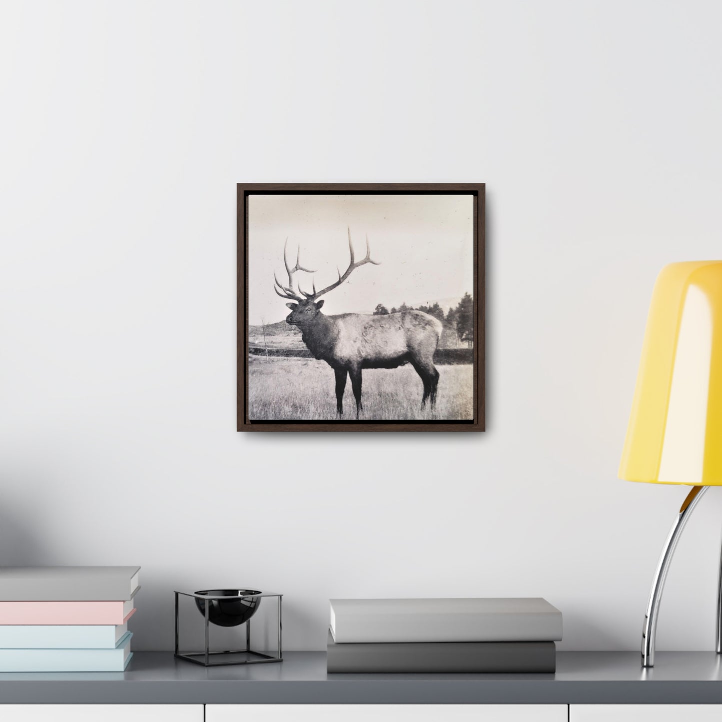 Yellowstone Bull Elk Gallery Canvas Wraps, Square Frame