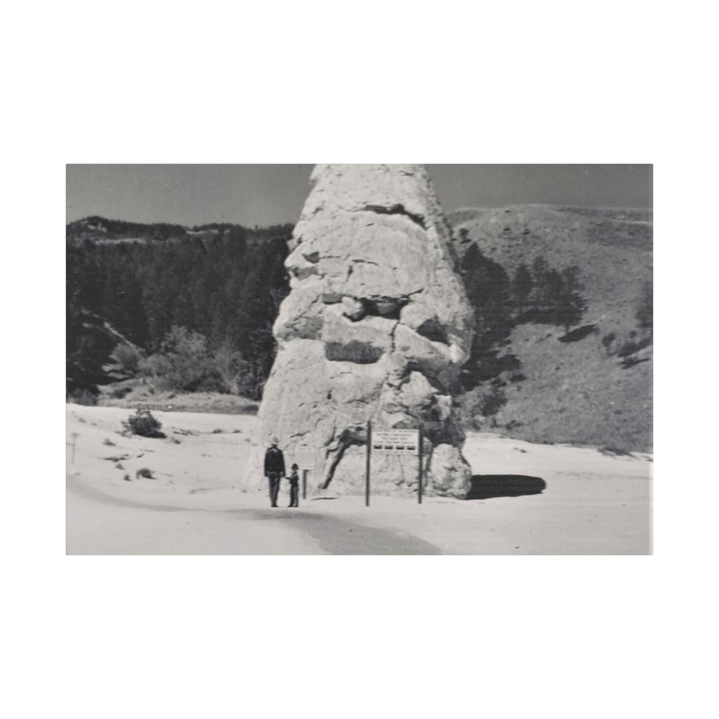 Liberty Cap Yellowstone Satin Canvas Stretched