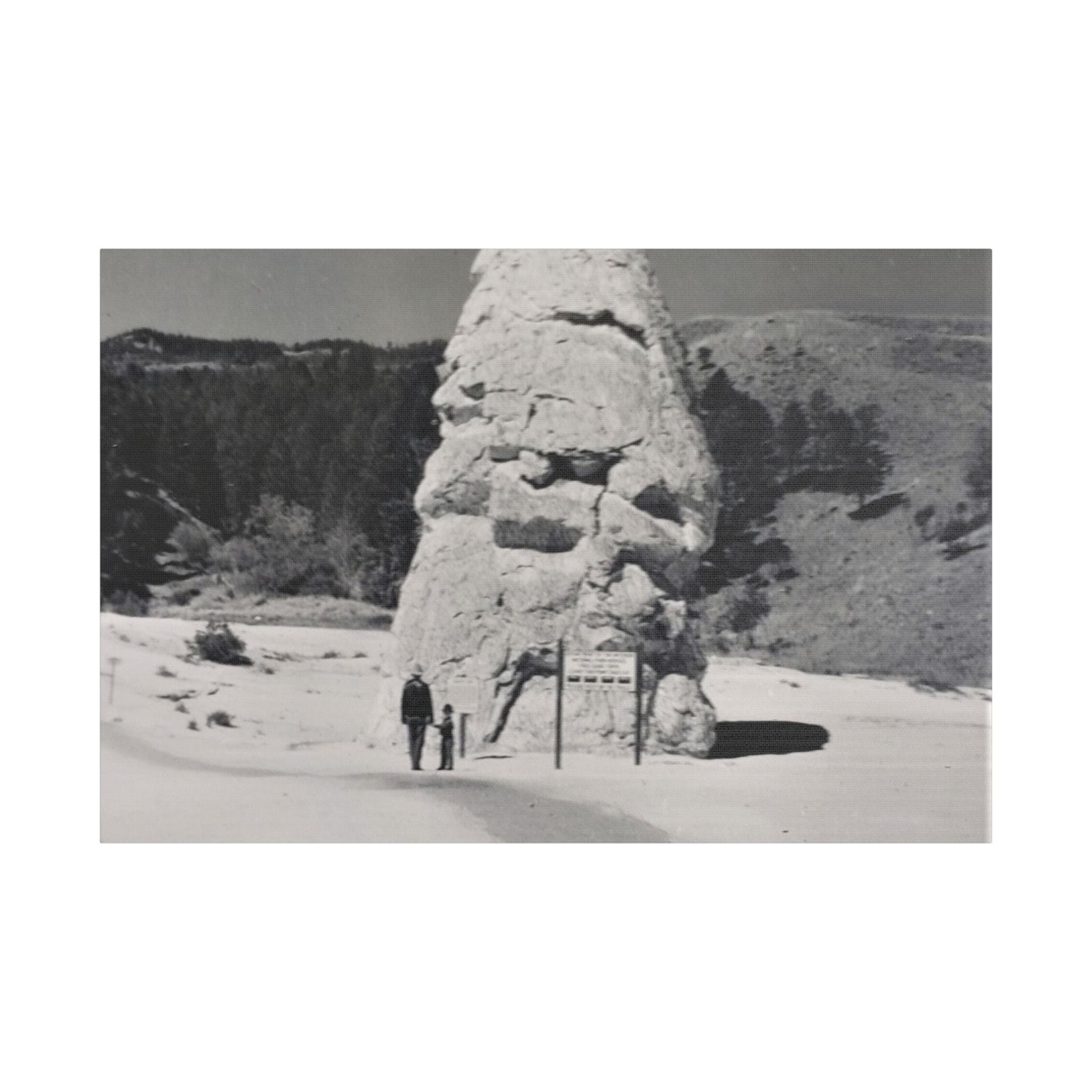 Liberty Cap Yellowstone Satin Canvas Stretched