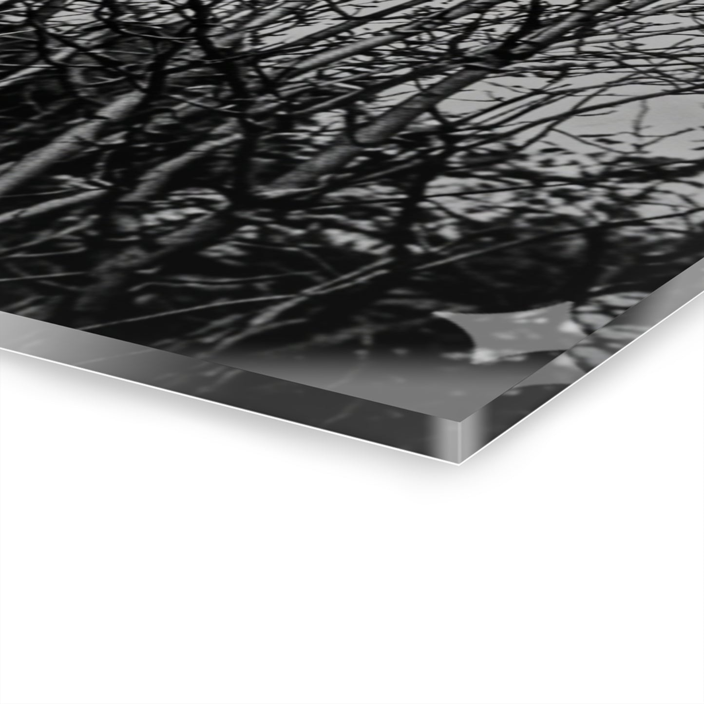 Black & White Buzzards in Winter Trees French Cleat Hanging - - Home Decor