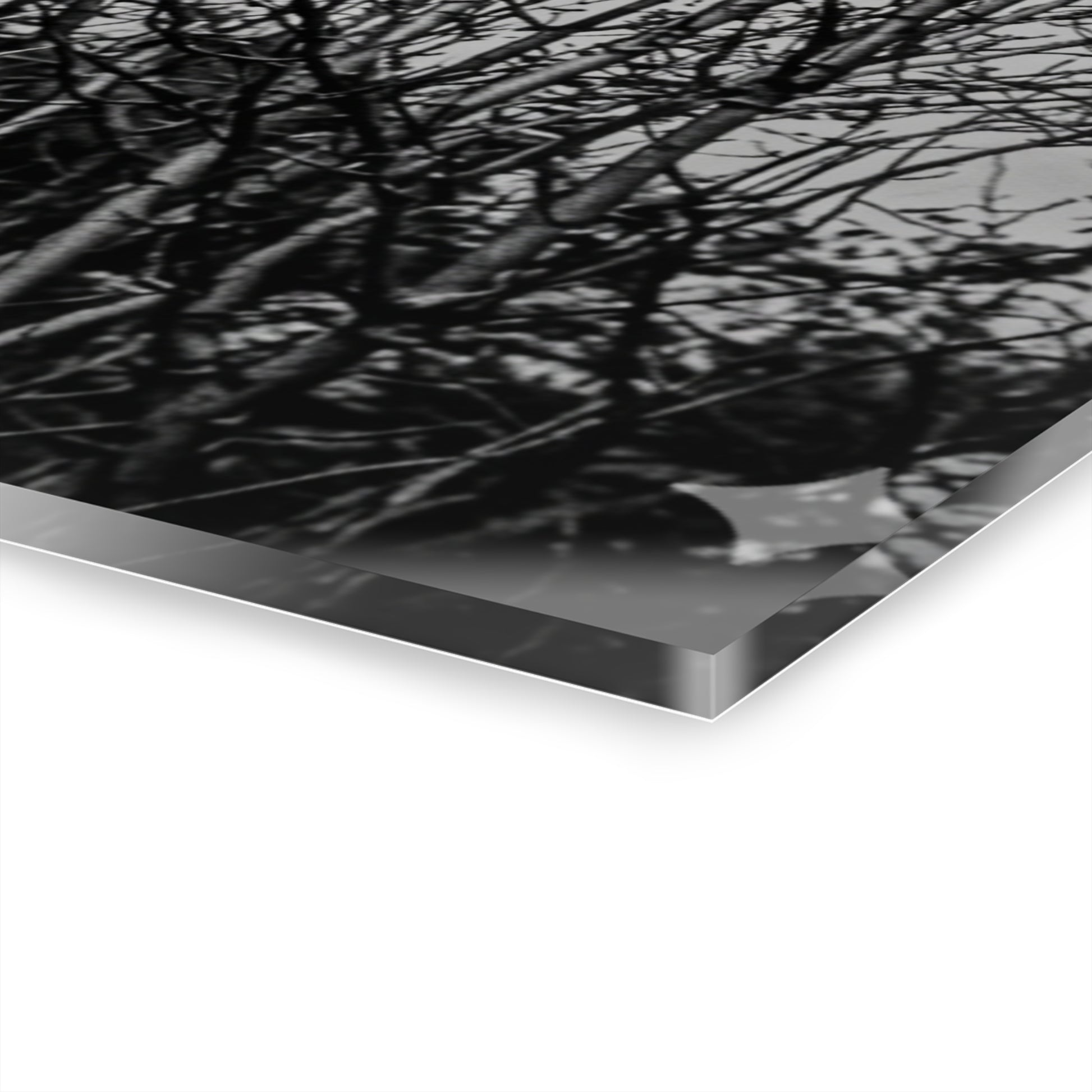 Black & White Buzzards in Winter Trees French Cleat Hanging - - Home Decor