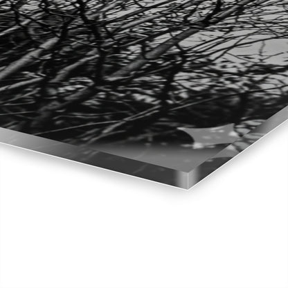Black & White Buzzards in Winter Trees French Cleat Hanging - - Home Decor