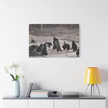 Yellowstone Grizzly Bears Satin Canvas Stretched 36″ x 24″ (Horizontal) 1.5"