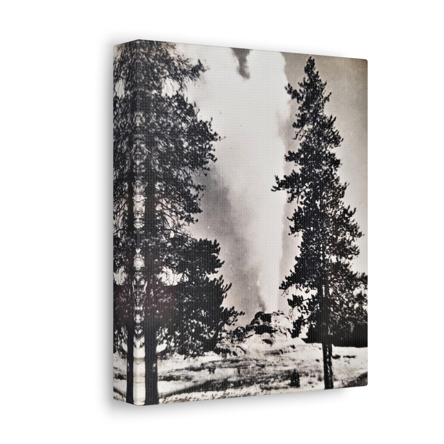 Castle Geyser Yellowstone Stretched Canvas