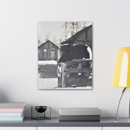Yellowstone Bear Canvas Gallery Wraps 16″ x 20″ 1.25"