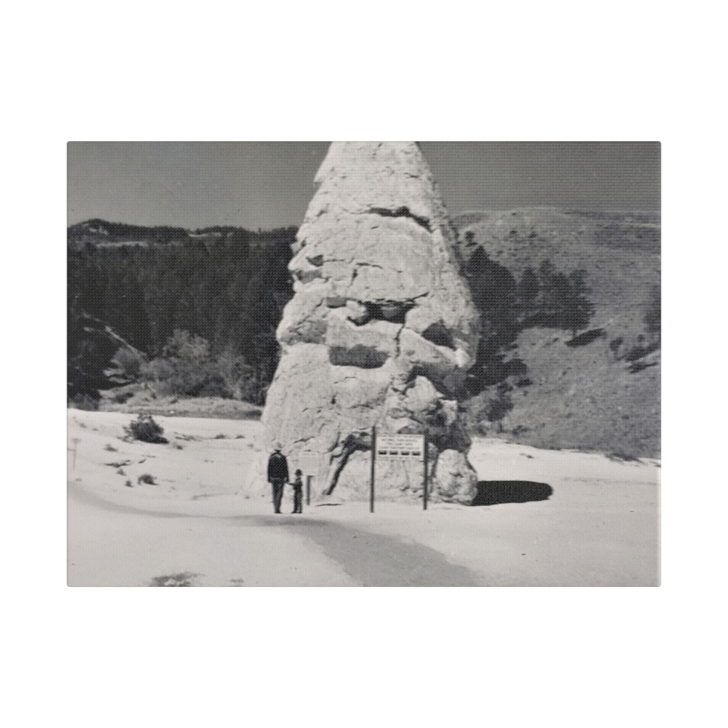 Liberty Cap Yellowstone Satin Canvas Stretched