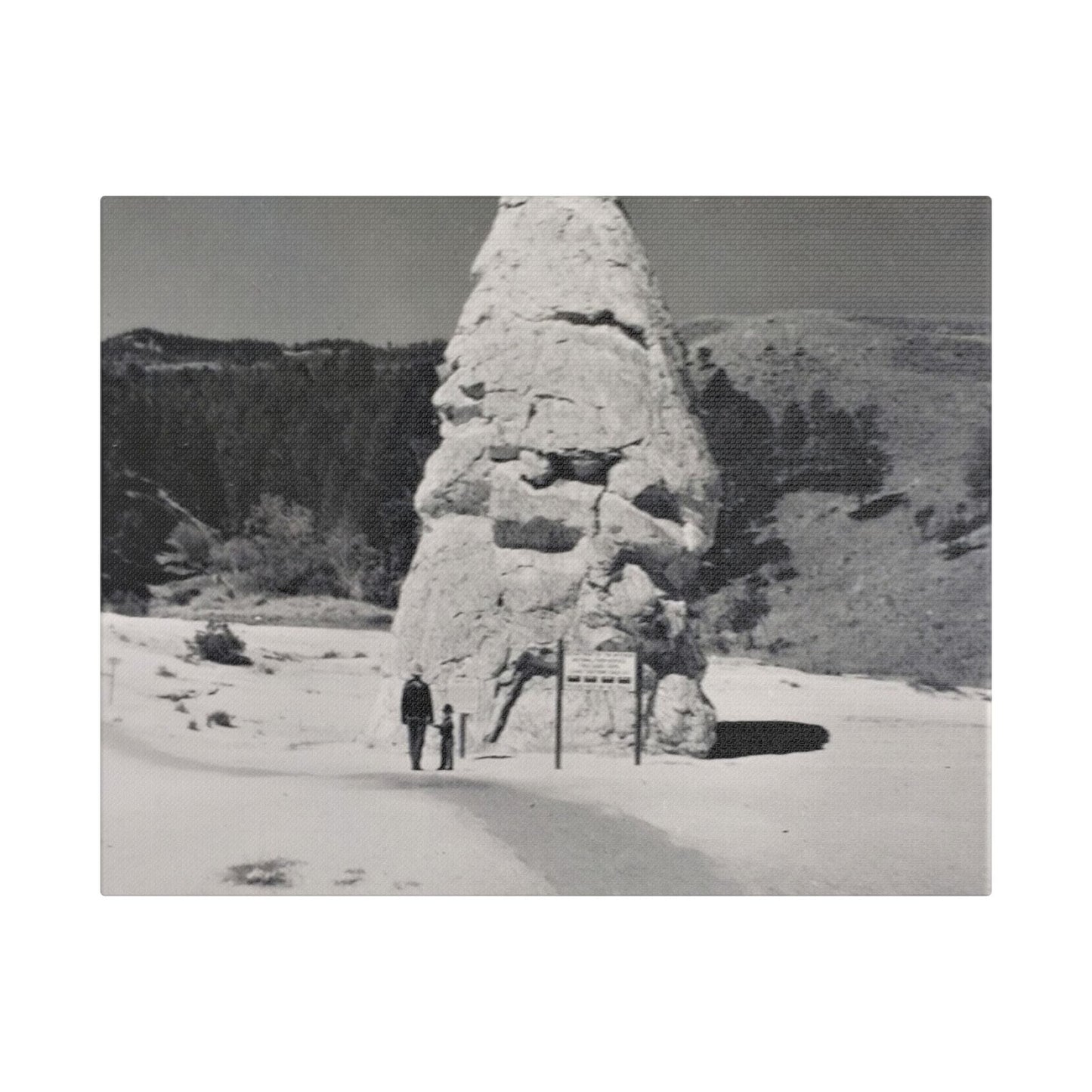 Liberty Cap Yellowstone Satin Canvas Stretched