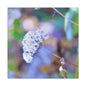 Macro Blue Canvas Gallery Wraps 16″ x 16″ 1.25"