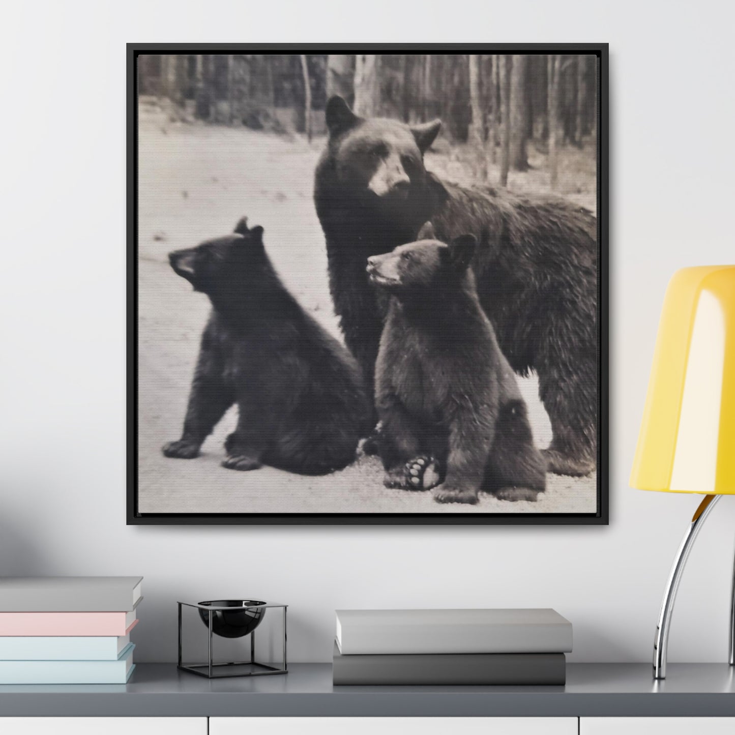 Yellowstone Black Bears Gallery Canvas Wraps, Square Frame