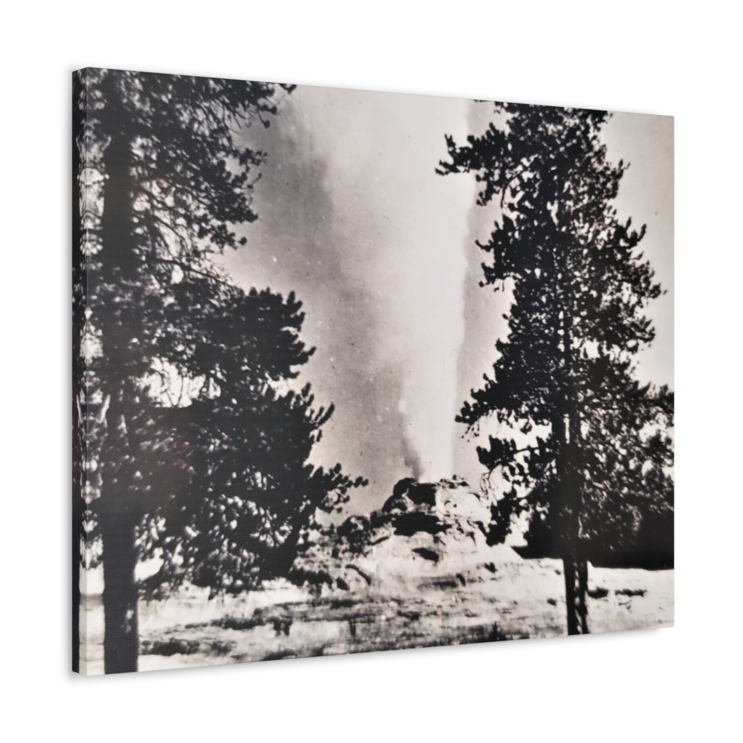 Castle Geyser Yellowstone Stretched Canvas