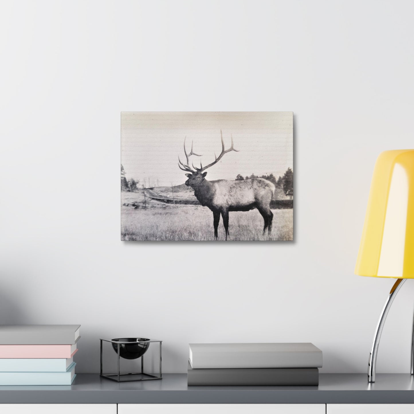 Yellowstone Bull Elk Stretched Canvas