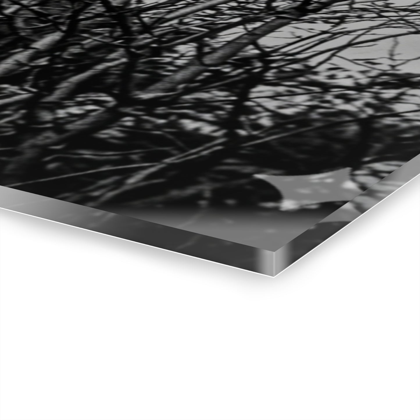Black & White Buzzards in Winter Trees French Cleat Hanging - - Home Decor