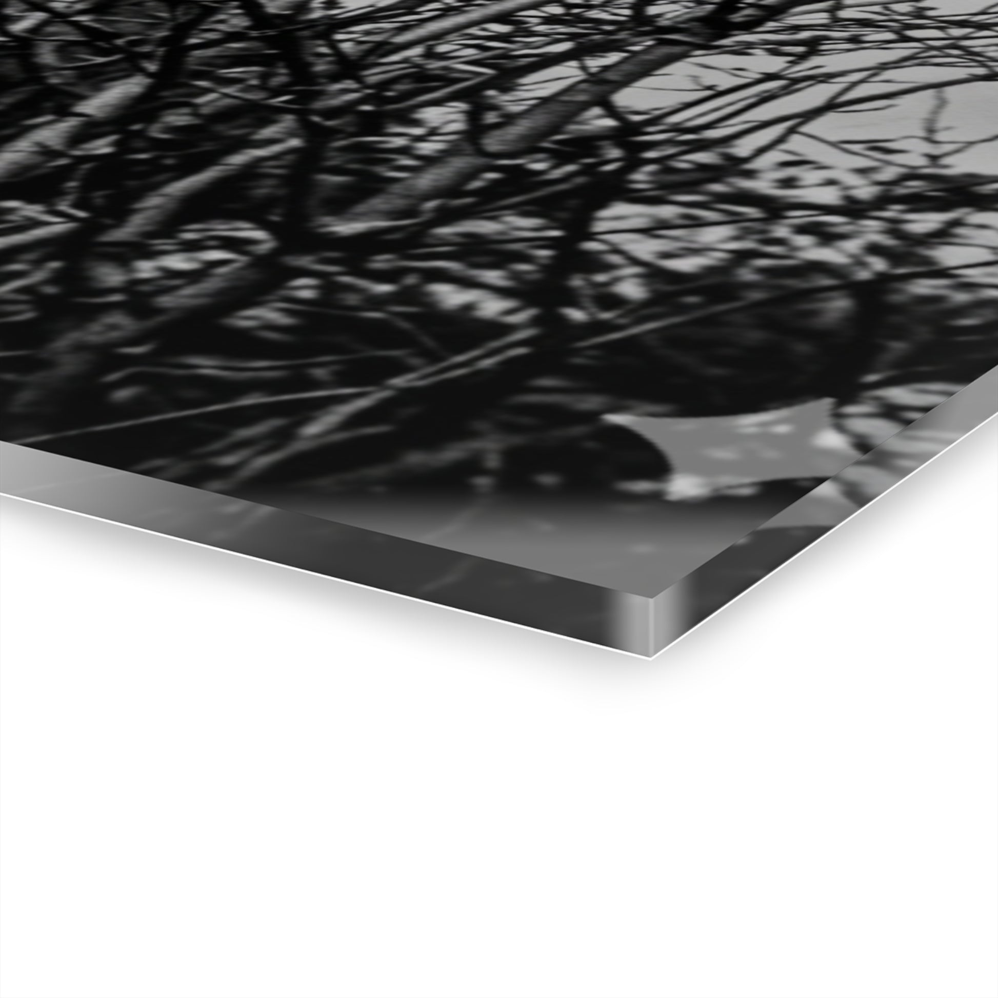 Black & White Buzzards in Winter Trees French Cleat Hanging - - Home Decor